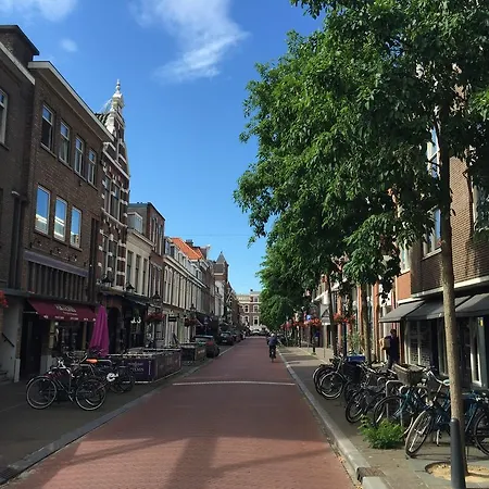 Sunny Frederikstraat